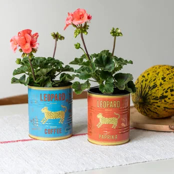 Medium storage tins - Leopard Blue