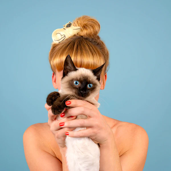 SIAMESE CAT HAIR CLIP