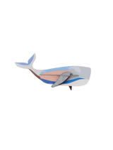 Whale