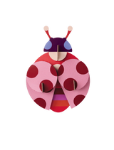 Capsule Collection - Dotted Lady