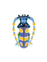 Small Insects - Rosalia Beetle