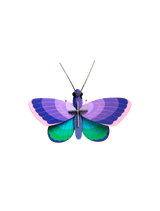 Small Insects - Blue Copper Butterfly