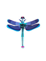 Small Insects - Sapphire Dragonfly