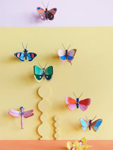 Small Insects - Delias Butterfly