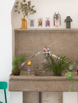 Small Insects - Rainbow Leaf Beetle