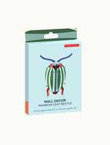 Small Insects - Rainbow Leaf Beetle