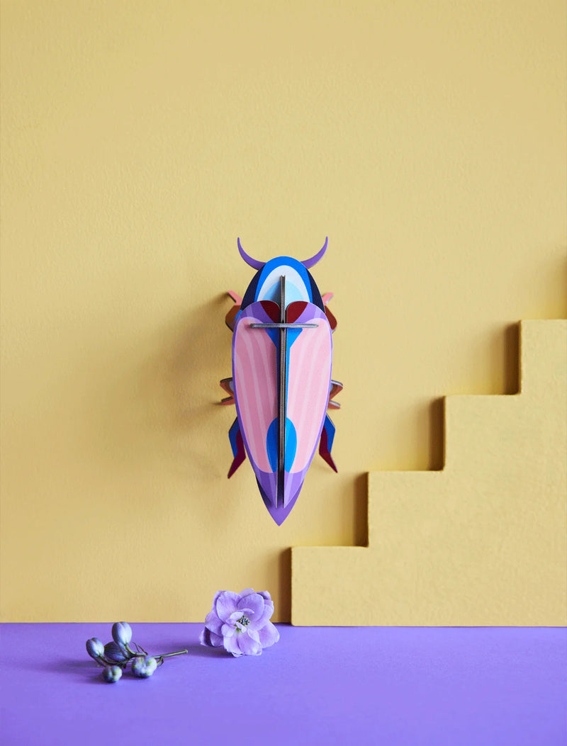 Small Insects - Violet Click Beetle