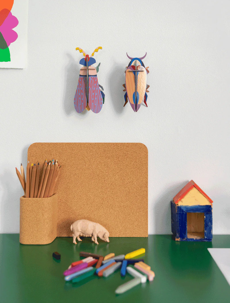 Small Insects - Violet Click Beetle