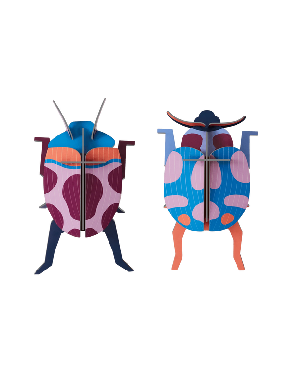 Small Insects - Coccinelle Couple