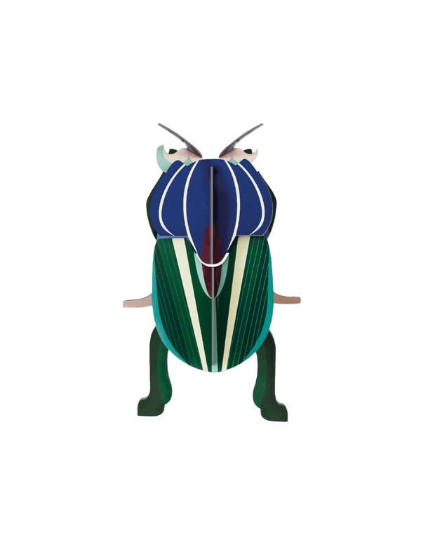 Small Insects - Mimela Scarab Beetle