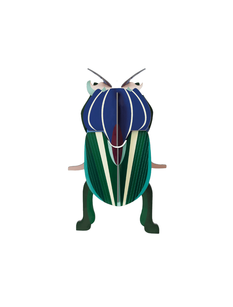 Small Insects - Mimela Scarab Beetle