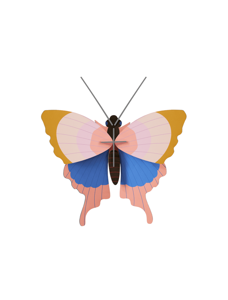 Small Insects - Gold Rim Butterfly