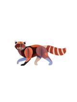 Wild Animals - Red Panda