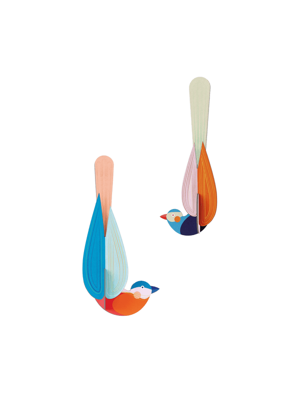 Paradise Bird - Muna