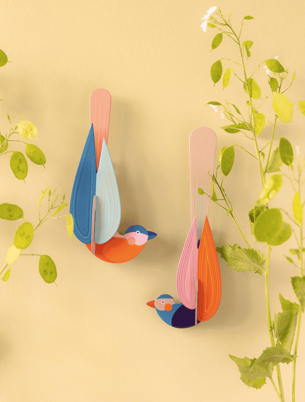 Paradise Bird - Muna