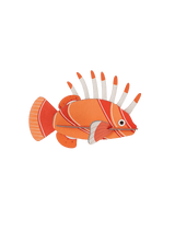 Small Sea Creature - Lionfish
