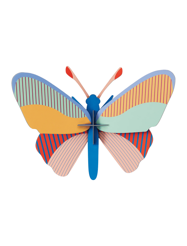 Medium Insects - Cleo Butterfly