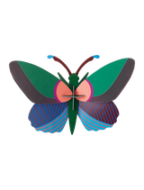 Medium Butterfly - Acacia Butterfly