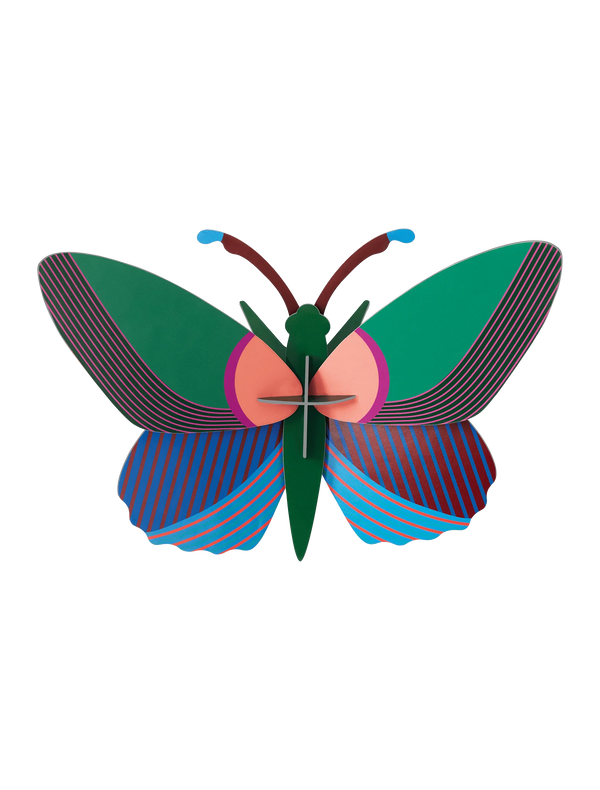 Medium Butterfly - Acacia Butterfly