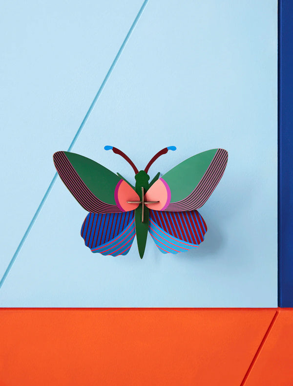 Medium Butterfly - Acacia Butterfly