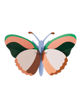 Medium Insects - Sycamore Butterfly