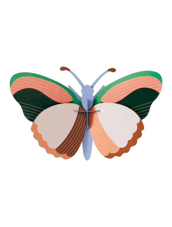 Medium Insects - Sycamore Butterfly