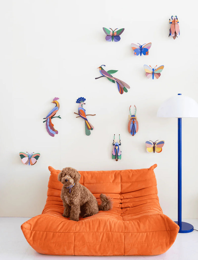 Medium Insects - Sycamore Butterfly