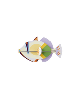 Small Sea Creature - Lagoon Triggerfish