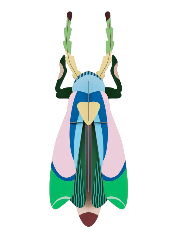 Sakura Beetle