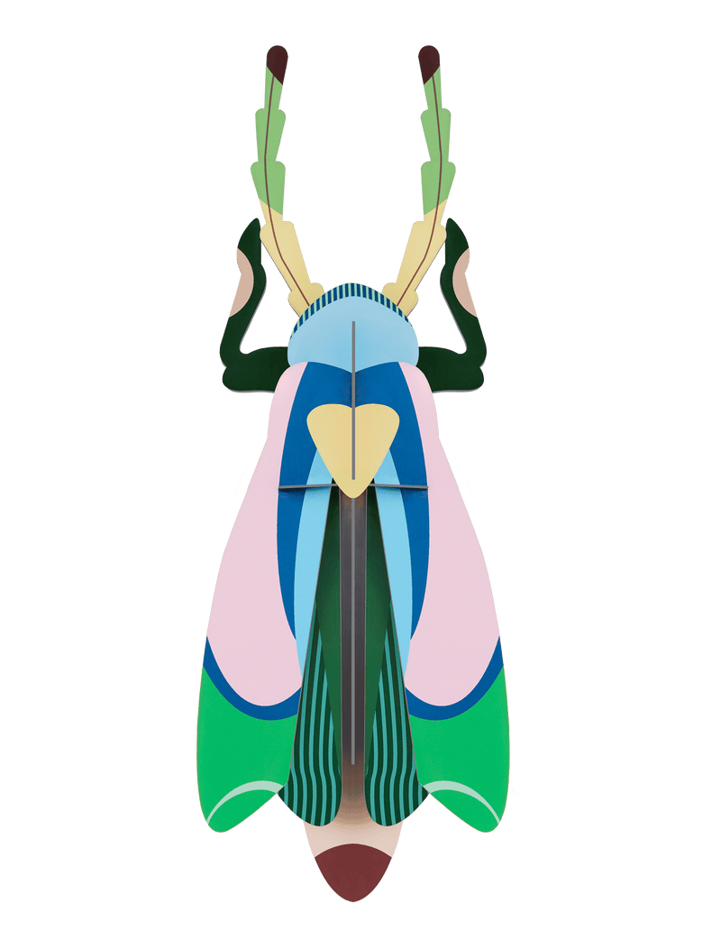 Sakura Beetle