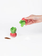 Salt & Pepper Radish