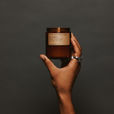 Soy Candle - Wild Herb Tonic