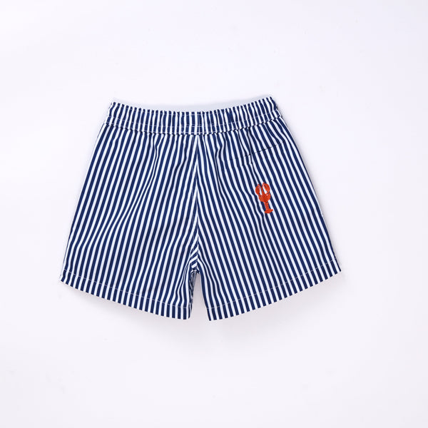Swim Boy Shorts - Immerge Striped