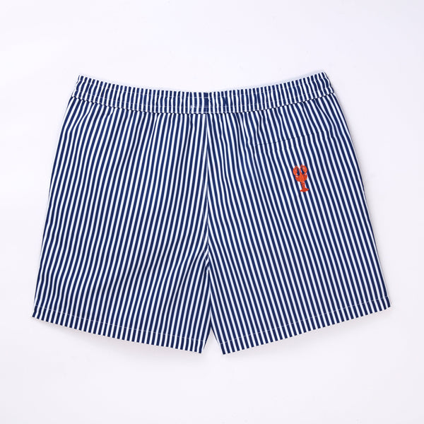 Swim Men Shorts - Immerge Striped