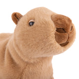 Theo 25 cm 