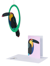 Toucan