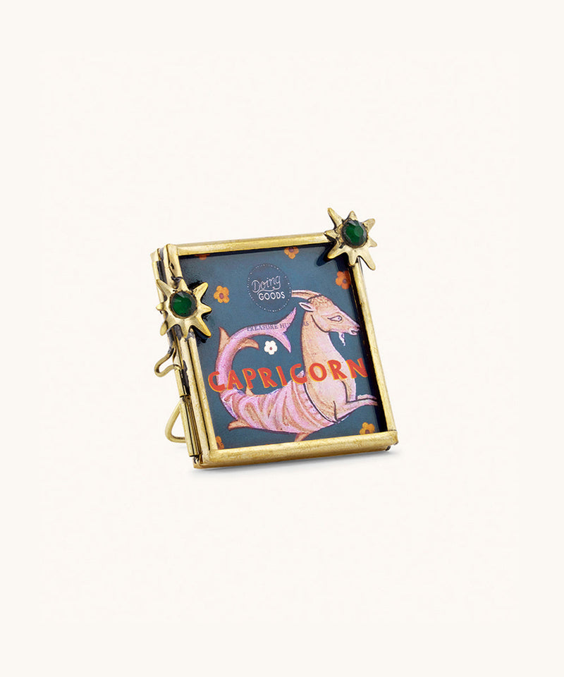 Zodiac Capricorn Frame Mini