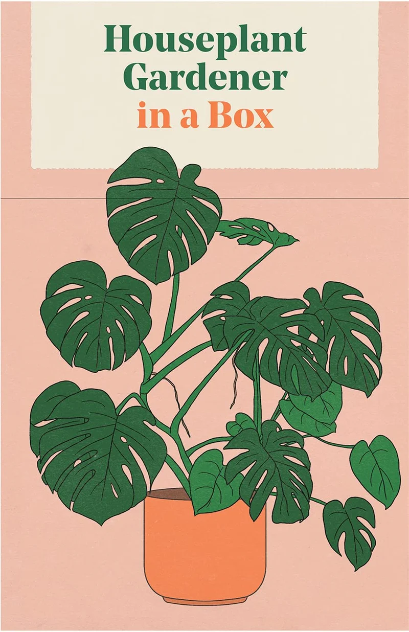 Houseplant Gardener in
a Box