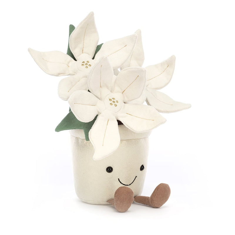 Amuseable Gold Poinsettia_1