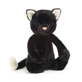 Bashful Black Kitten_1