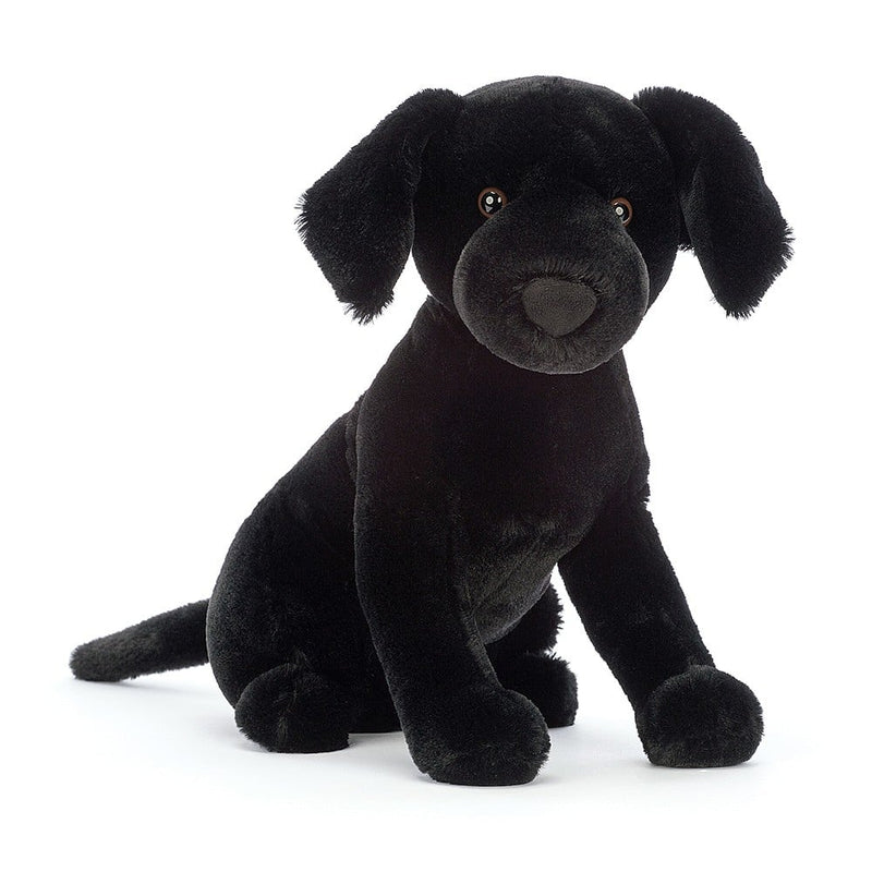 Pippa Black Labrador_1