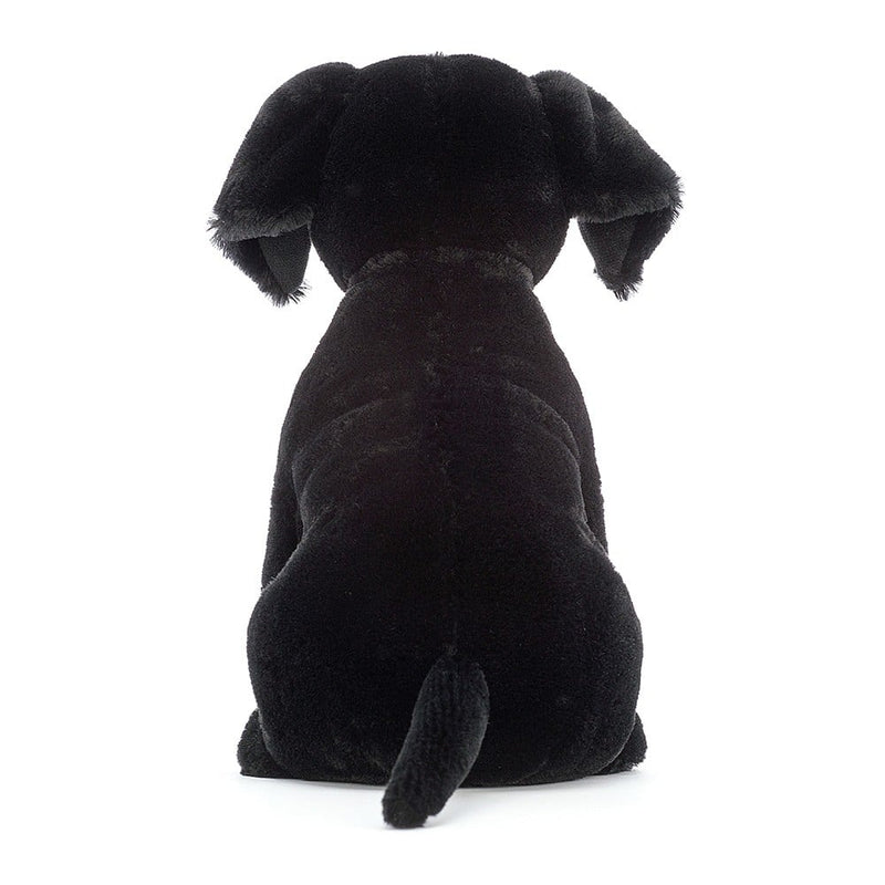 Pippa Black Labrador_3