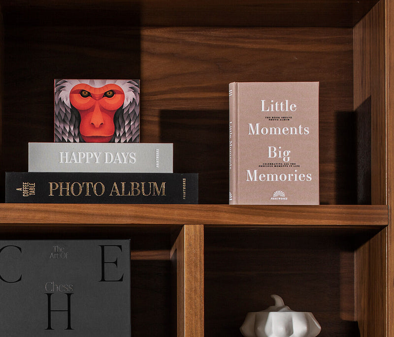 Printworks Bookshelf Photo Album - Little Moments Big Memories
