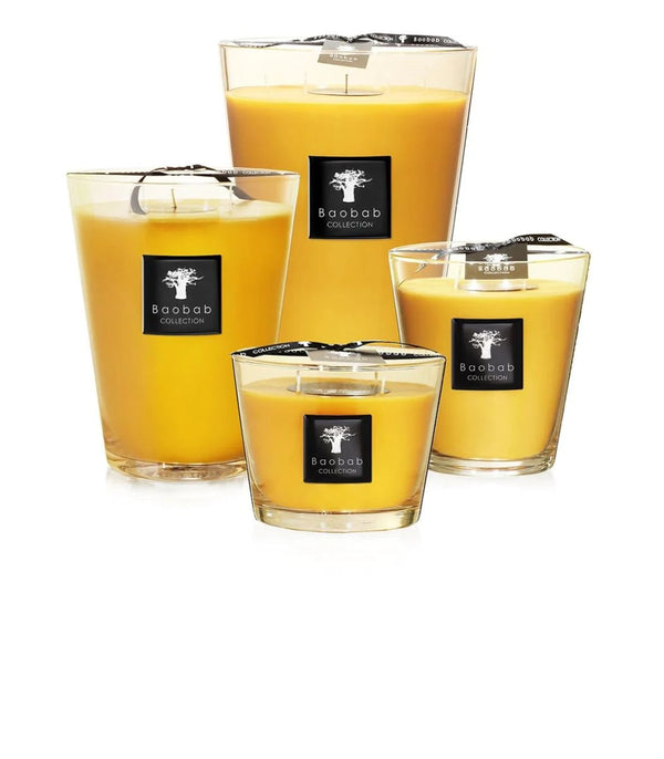 Scented Candles - All Seasons - Zanzibar Spices 