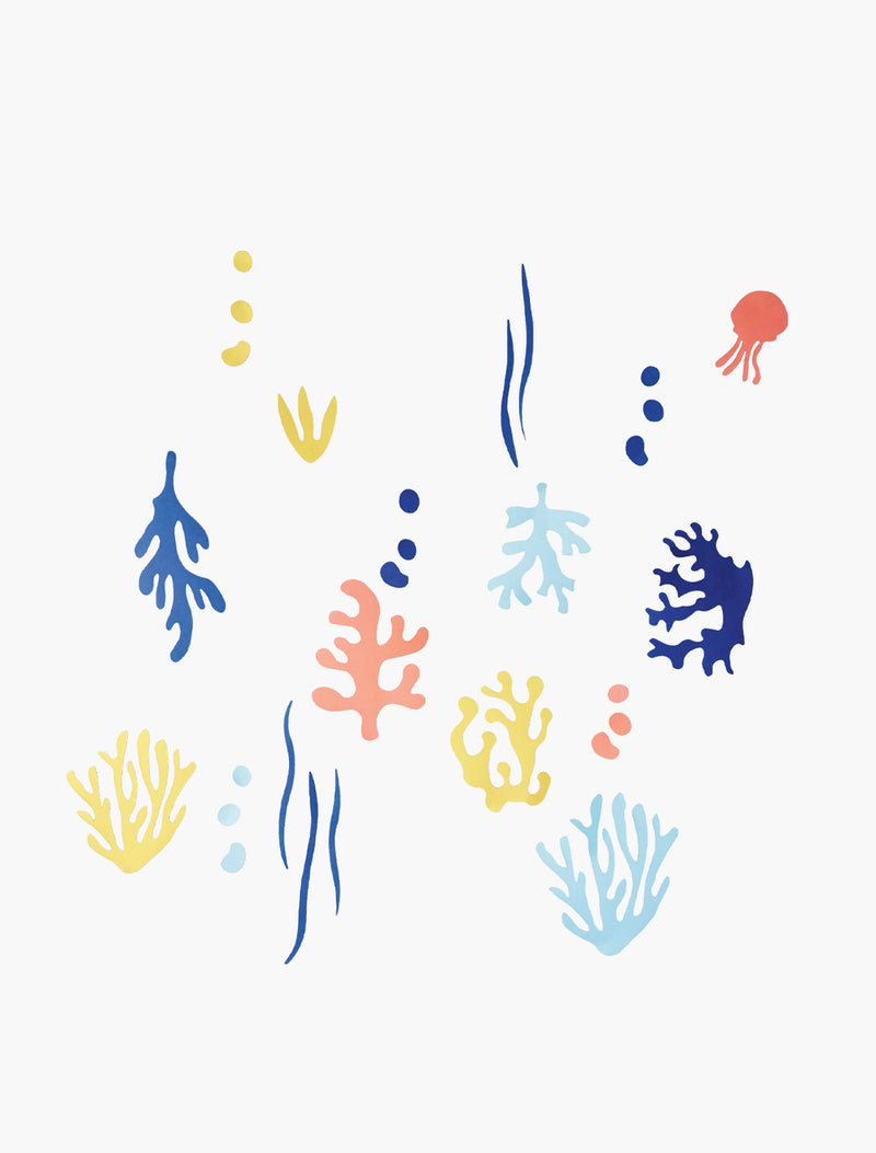 Seaweed
