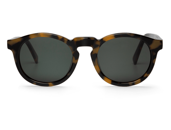 HIGH CONTRAST TORTOISE JORDAAN WITH CLASSICAL LENSES