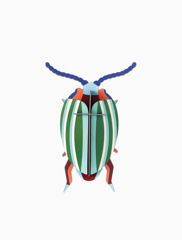 Studio roof Small Insects - Rainbow Leaf Beetle